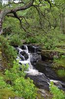 Wanderung auf dem West Highland Way