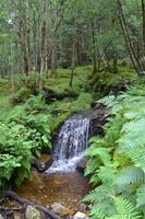 Wanderung auf dem West Highland Way
