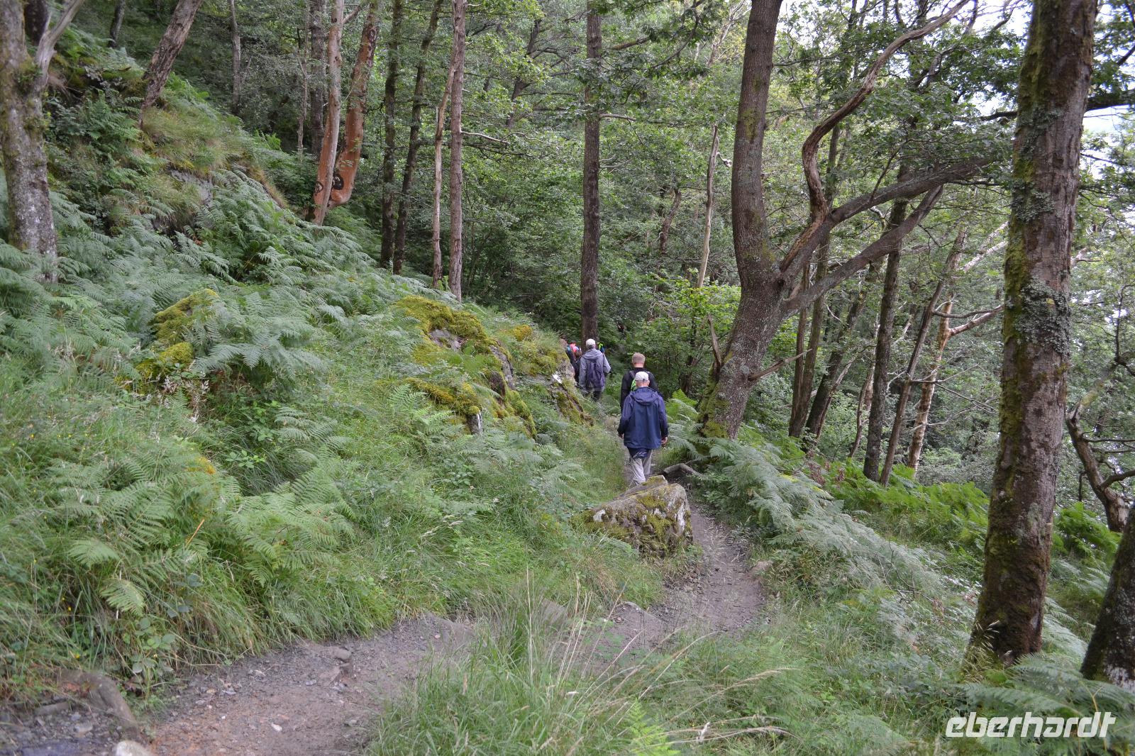 Wanderung auf dem West Highland Way