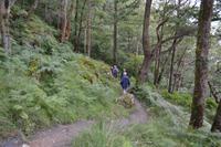 Wanderung auf dem West Highland Way