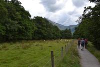 Wanderung im Glen Nevis