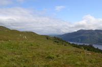 Wanderung auf dem Great Glen Way von Fort Augustus nach Invermoriston