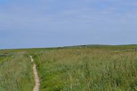 Wanderung zu den Stacks of Duncansby