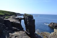 Unterwegs auf den Orkney-Inseln - Klippen von Yesnaby