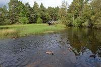 Wanderung um den Loch Morlich