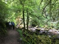 Wanderung zu den Birks of Aberfeldy