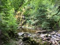 Wanderung zu den Birks of Aberfeldy