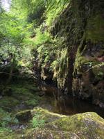 Wanderung zu den Birks of Aberfeldy