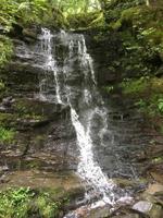 Wanderung zu den Birks of Aberfeldy