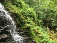 Wanderung zu den Birks of Aberfeldy