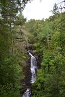 Wanderung zu den Birks of Aberfeldy