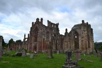 Melrose Abbey