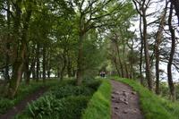 Wanderung am Hadrianswall