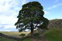 Wanderung am Hadrianswall