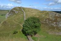 Wanderung am Hadrianswall