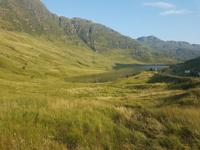 Argyll State Forest bei Arochar (2)