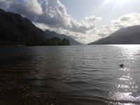 Am Glenfinnan Monument (4)