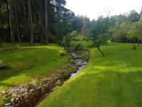 Gärten und Schlucht bei Glen Grant (1)