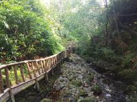 Gärten und Schlucht bei Glen Grant (2)