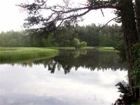 Teichidylle in Grantown on Spey