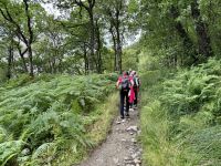 2. Reisetag – Loch Lomond & West Highland Way – Wanderung auf dem West Highland Way von Rowardennan nach Inversnaid