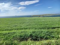 Blick über Scapa Flow