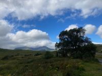 3. Tag – Auf dem Weg in die Highlands