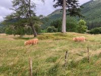 3. Tag – Wanderung im Glen Nevis
