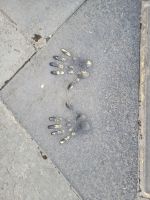 025 – Schottland, Edinburgh