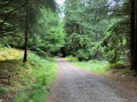 5. Tag – Wanderung auf dem Great Glen Way von Fort Augustus nach Invermoriston