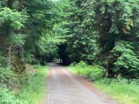 5. Tag – Wanderung auf dem Great Glen Way von Fort Augustus nach Invermoriston