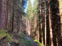 5. Tag – Wanderung auf dem Great Glen Way von Fort Augustus nach Invermoriston