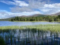 9. Tag – Wanderung um den Loch Morlich in den Cairngorms