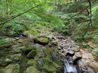 9. Tag – Wanderung zu den Birks of Aberfeldy