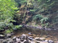 9. Tag – Wanderung zu den Birks of Aberfeldy