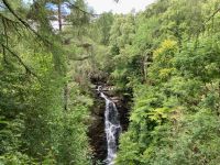 9. Tag – Wanderung zu den Birks of Aberfeldy