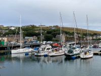 8. Tag – Hafen von Stromness