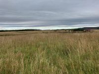 8. Tag – Schlachtfeld von Culloden