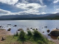 9. Tag – Wanderung um den Loch Morlich in den Cairngorms