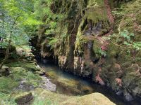 9. Tag – Wanderung zu den Birks of Aberfeldy