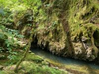 9. Tag – Wanderung zu den Birks of Aberfeldy