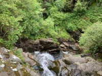 9. Tag – Wanderung zu den Birks of Aberfeldy