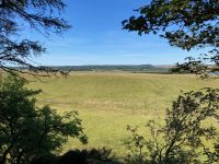 11. Tag – Wanderung am Hadrianswall