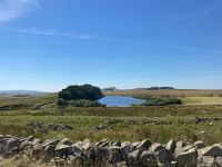11. Tag – Wanderung am Hadrianswall