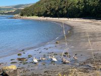 12. Tag – Culzean Castle & Country Park