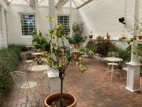 12. Tag – Culzean Castle & Country Park