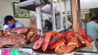 20220613 132925 fangfrischer Fisch in Oban