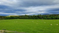 20220615 183654 Highlands