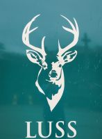 42 Ausflug Highlands