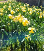 47 Ausflug Highlands